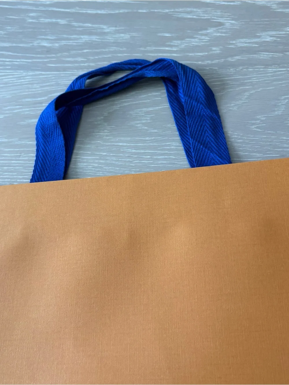 Louis Vuitton Medium Large Shopping Gift Bag